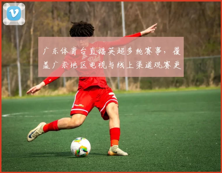 广东体育台直播英超多轮赛事,覆盖广东地区电视与线上渠道观赛更便捷